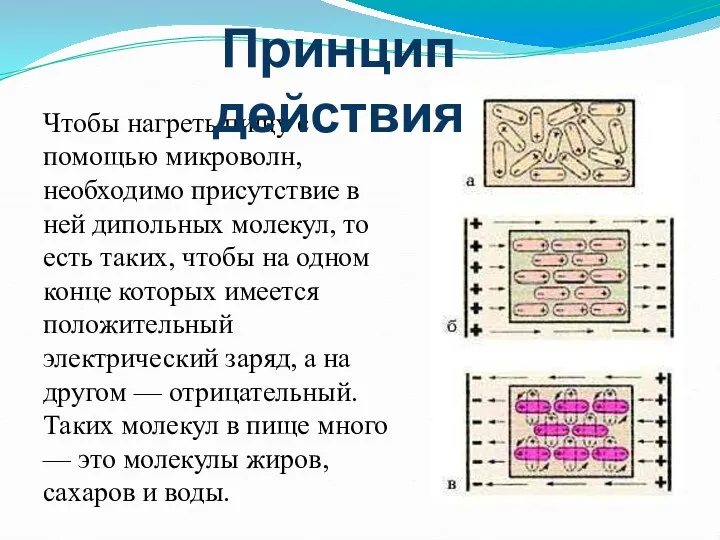 Чтобы нагреть пищу с помощью микроволн, необходимо присутствие в ней дипольных