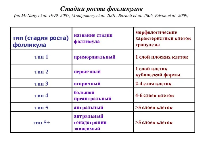 Стадии роста фолликулов (по McNatty et al. 1999, 2007, Montgomery et