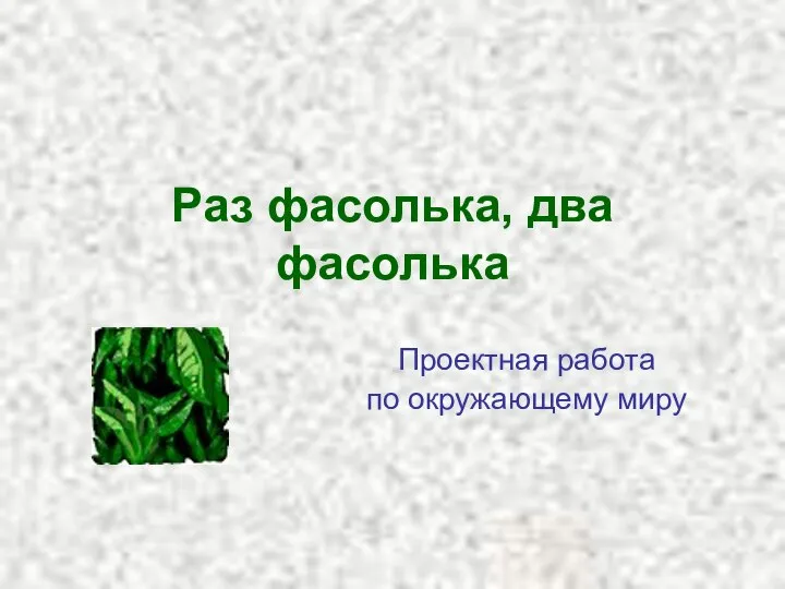 Раз фасолька, два фасолька Проектная работа по окружающему миру