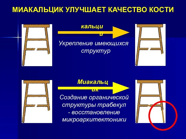 МИАКАЛЬЦИК УЛУЧШАЕТ КАЧЕСТВО КОСТИ Укрепление имеющихся структур кальций Создание органической структуры трабекул - восстановление микроархитектоники Миакальцик