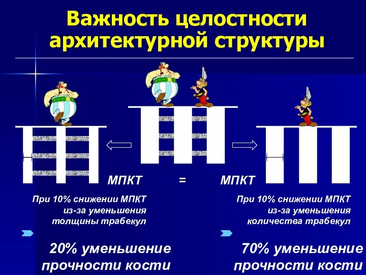 Важность целостности архитектурной структуры 20% уменьшение прочности кости 70% уменьшение прочности