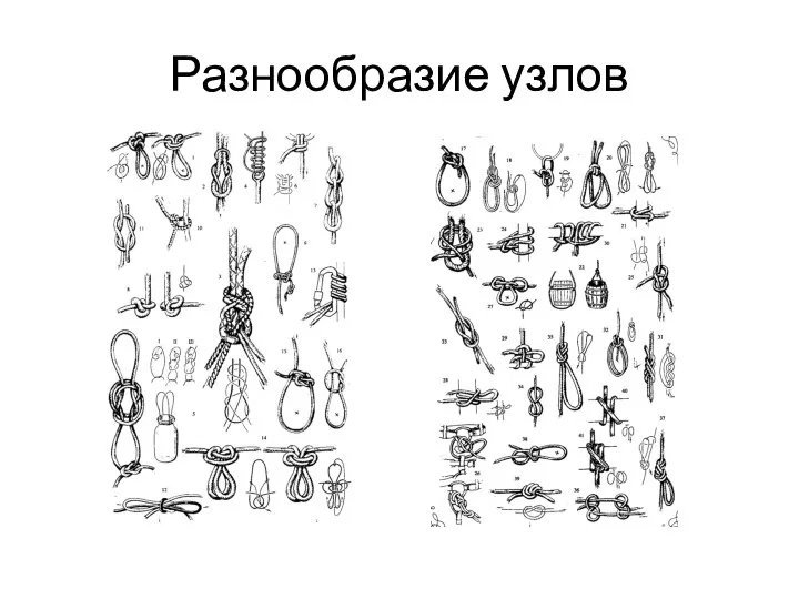 Разнообразие узлов