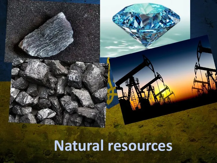 Natural resources