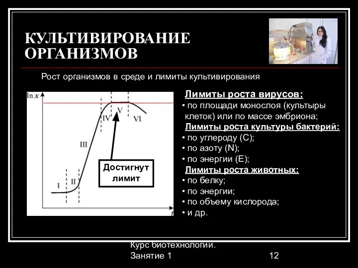 Курс биотехнологии. Занятие 1 КУЛЬТИВИРОВАНИЕ ОРГАНИЗМОВ Рост организмов в среде и