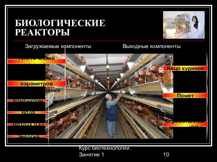 Курс биотехнологии. Занятие 1 БИОЛОГИЧЕСКИЕ РЕАКТОРЫ Загружаемые компоненты Выходные компоненты Комбикорм