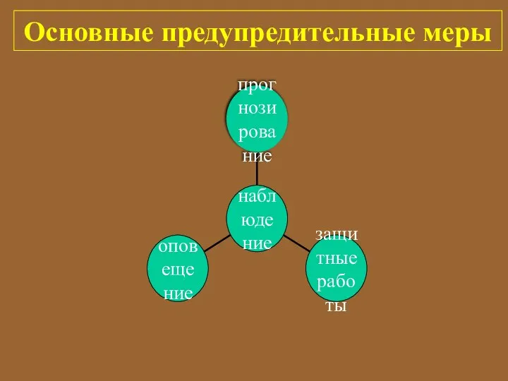 Основные предупредительные меры