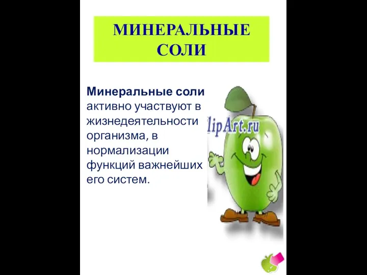 МИНЕРАЛЬНЫЕ СОЛИ Минеральные соли активно участвуют в жизнедеятельности организма, в нормализации функций важнейших его систем.