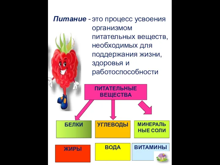 это процесс усвоения организмом питательных веществ, необходимых для поддержания жизни, здоровья