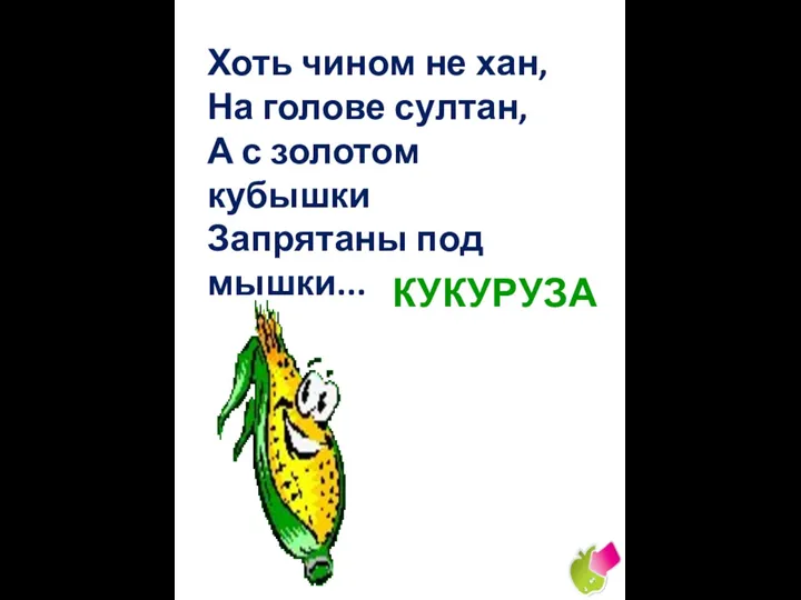 Хоть чином не хан, На голове султан, А с золотом кубышки Запрятаны под мышки... КУКУРУЗА