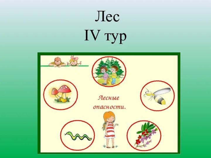 Лес IV тур