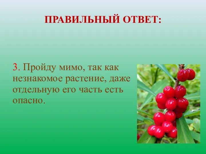 ПРАВИЛЬНЫЙ ОТВЕТ: 3. Пройду мимо, так как незнакомое растение, даже отдельную его часть есть опасно.