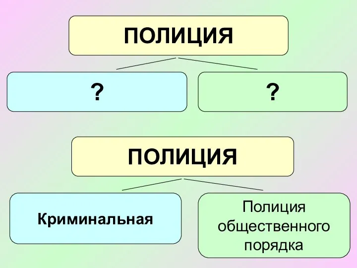 ПОЛИЦИЯ ? ? ПОЛИЦИЯ Криминальная Полиция общественного порядка