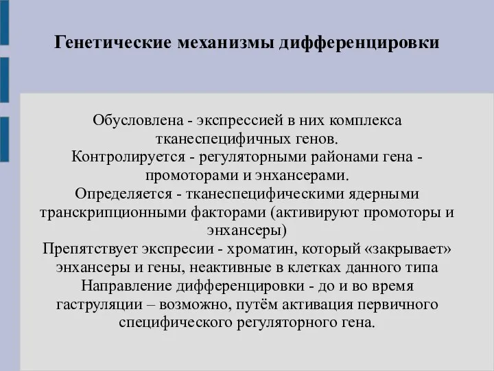 Генетические механизмы дифференцировки Обусловлена - экспрессией в них комплекса тканеспецифичных генов.