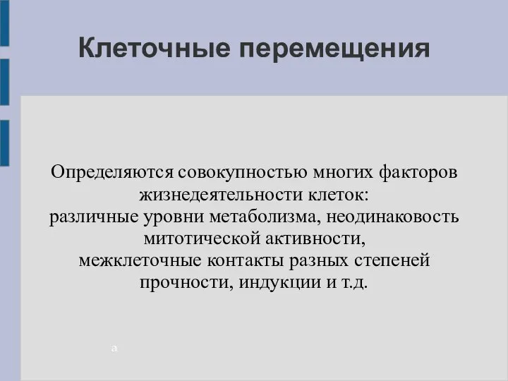 Клеточные перемещения а Определяются совокупностью многих факторов жизнедеятельности клеток: различные уровни