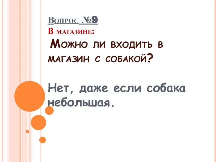 Вопрос №9 В магазине: Можно ли входить в магазин с собакой? Нет, даже если собака небольшая.