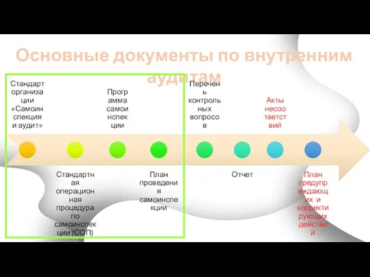 Основные документы по внутренним аудитам