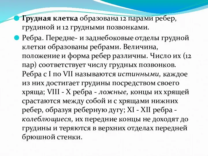 Грудная клетка образована 12 парами ребер, грудиной и 12 грудными позвонками.