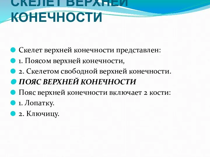 СКЕЛЕТ ВЕРХНЕЙ КОНЕЧНОСТИ Скелет верхней конечности представлен: 1. Поясом верхней конечности,