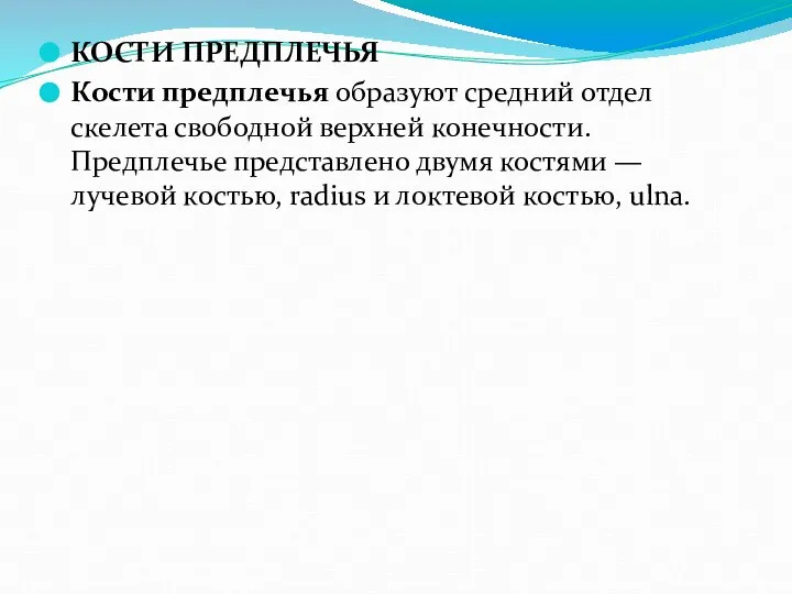 КОСТИ ПРЕДПЛЕЧЬЯ Кости предплечья образуют средний отдел скелета свободной верхней конечности.