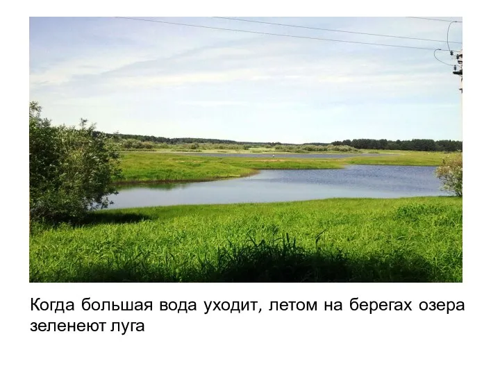 Когда большая вода уходит, летом на берегах озера зеленеют луга