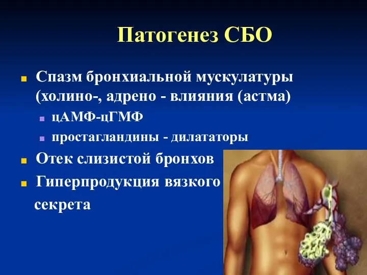 Патогенез СБО Спазм бронхиальной мускулатуры (холино-, адрено - влияния (астма) цАМФ-цГМФ