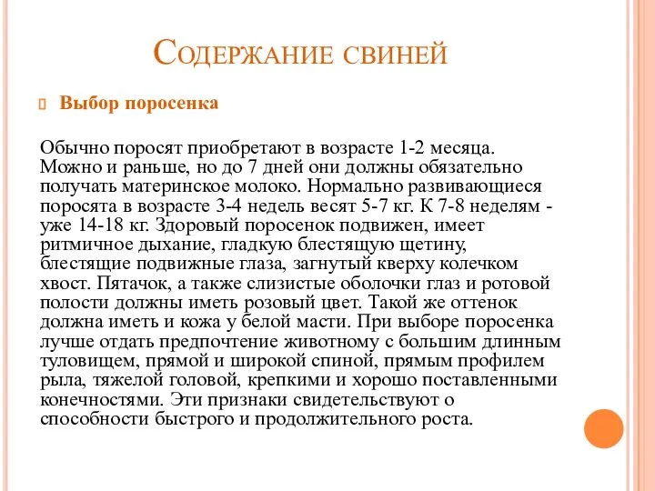 Содержание свиней Выбор поросенка Обычно поросят приобретают в возрасте 1-2 месяца.