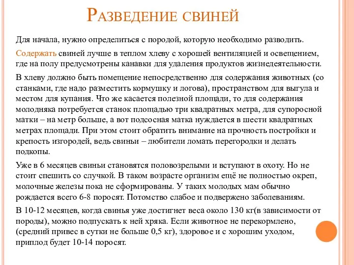 Разведение свиней Для начала, нужно определиться с породой, которую необходимо разводить.