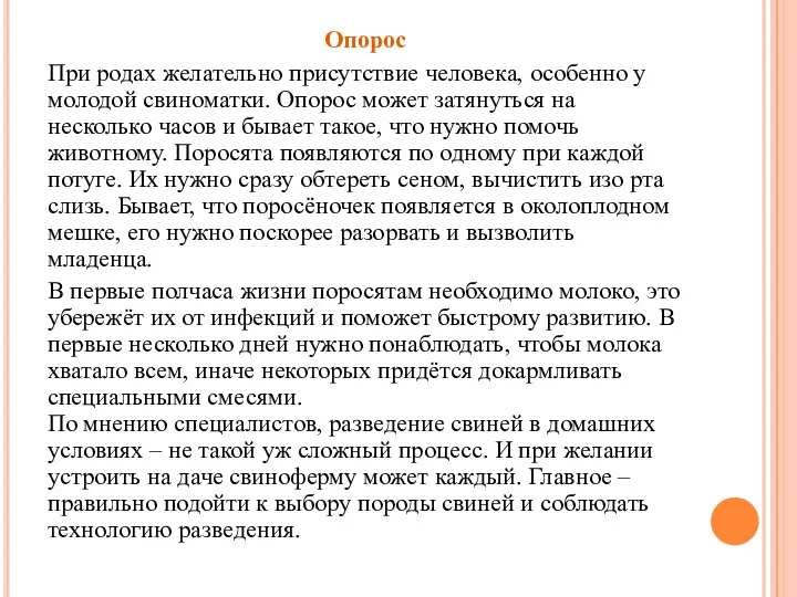 Опорос При родах желательно присутствие человека, особенно у молодой свиноматки. Опорос