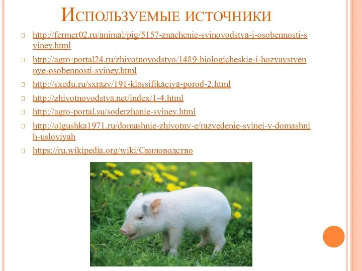 Используемые источники http://fermer02.ru/animal/pig/5157-znachenie-svinovodstva-i-osobennosti-sviney.html http://agro-portal24.ru/zhivotnovodstvo/1489-biologicheskie-i-hozyaystvennye-osobennosti-sviney.html http://sxedu.ru/sxrazv/191-klassifikaciya-porod-2.html http://zhivotnovodstva.net/index/1-4.html http://agro-portal.su/soderzhanie-sviney.html http://olgushka1971.ru/domashnie-zhivotny-e/razvedenie-svinej-v-domashnih-usloviyah https://ru.wikipedia.org/wiki/Свиноводство