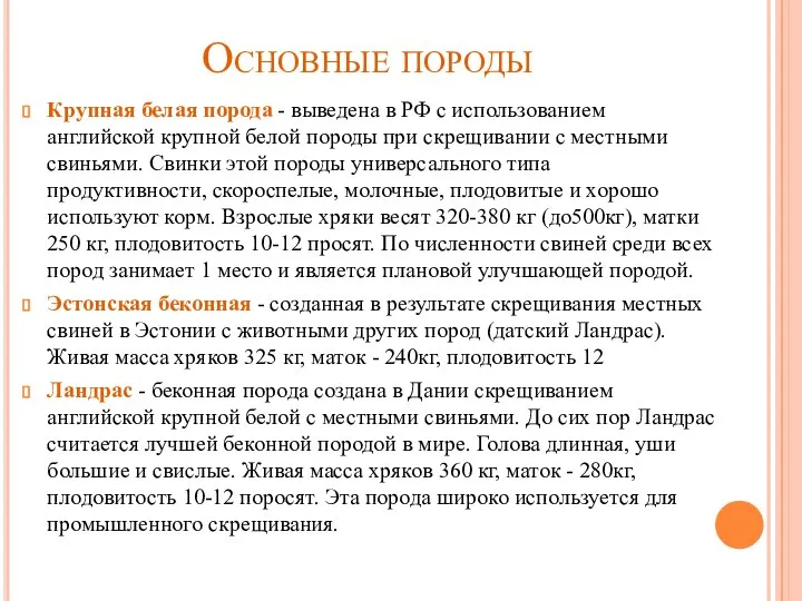 Основные породы Крупная белая порода - выведена в РФ с использованием