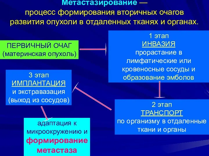 Метастазирование — процесс формирования вторичных очагов развития опухоли в отдаленных тканях