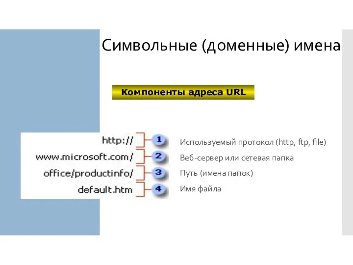 Символьные (доменные) имена Используемый протокол (http, ftp, file) Веб-сервер или сетевая