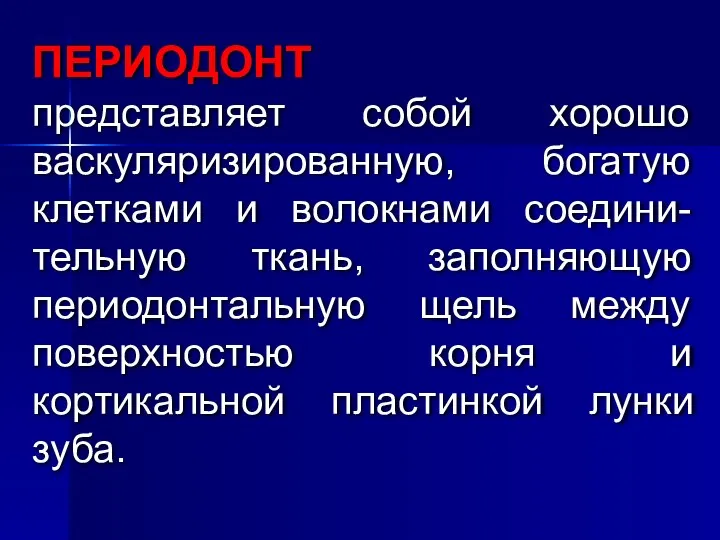 ПЕРИОДОНТ представляет собой хорошо васкуляризированную, богатую клетками и волокнами соедини-тельную ткань,