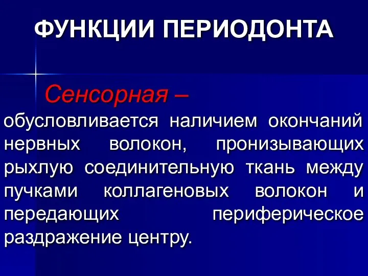 Сенсорная – обусловливается наличием окончаний нервных волокон, пронизывающих рыхлую соединительную ткань