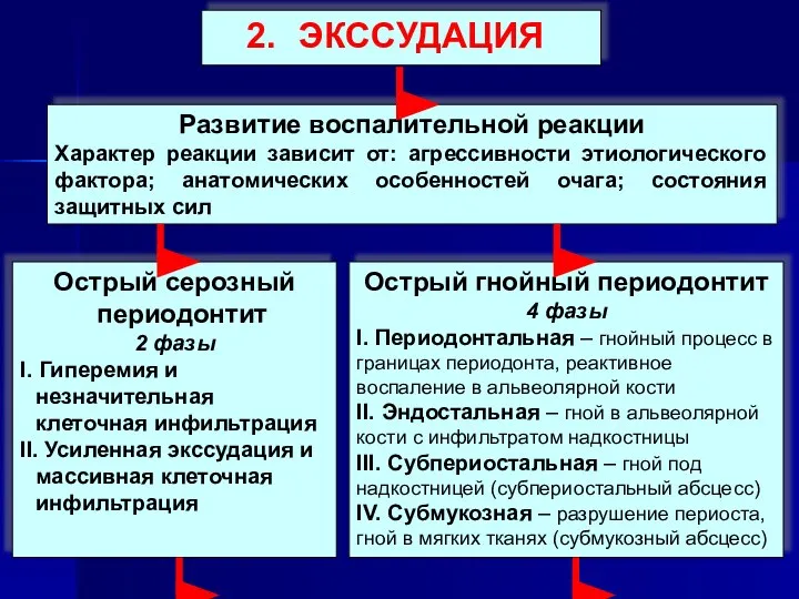 ЭКССУДАЦИЯ Развитие воспалительной реакции Характер реакции зависит от: агрессивности этиологического фактора;