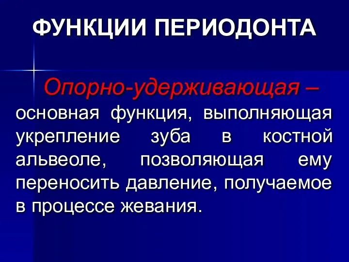 Опорно-удерживающая – основная функция, выполняющая укрепление зуба в костной альвеоле, позволяющая