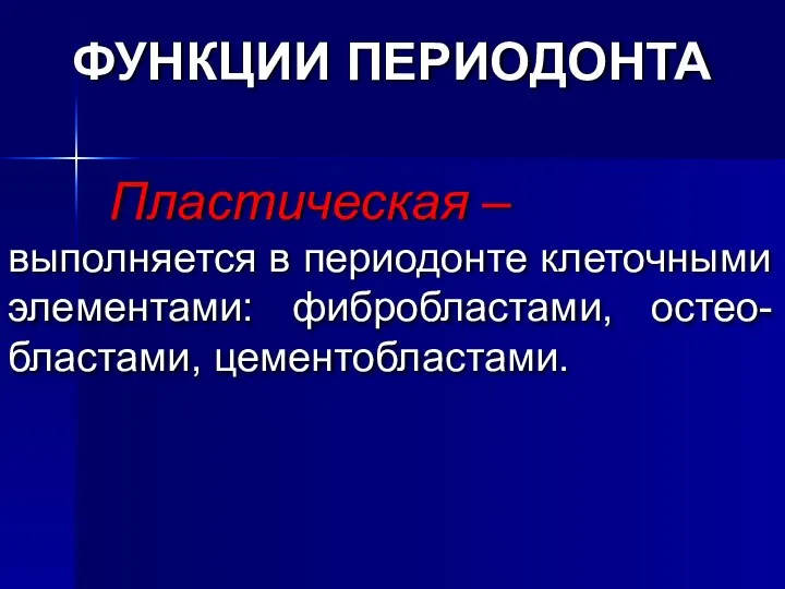 Пластическая – выполняется в периодонте клеточными элементами: фибробластами, остео-бластами, цементобластами. ФУНКЦИИ ПЕРИОДОНТА