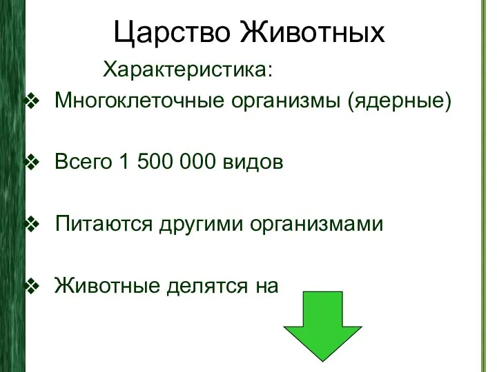 Царство Животных Характеристика: Многоклеточные организмы (ядерные) Всего 1 500 000 видов