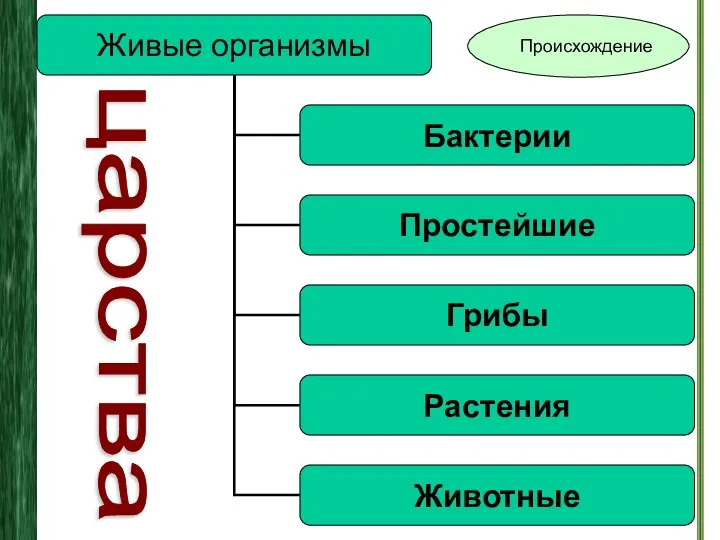 царства