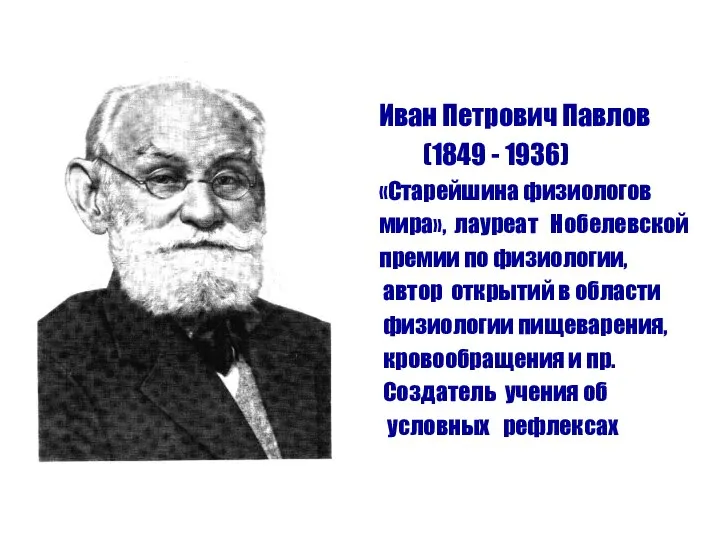 Иван Петрович Павлов (1849 - 1936) «Старейшина физиологов мира», лауреат Нобелевской