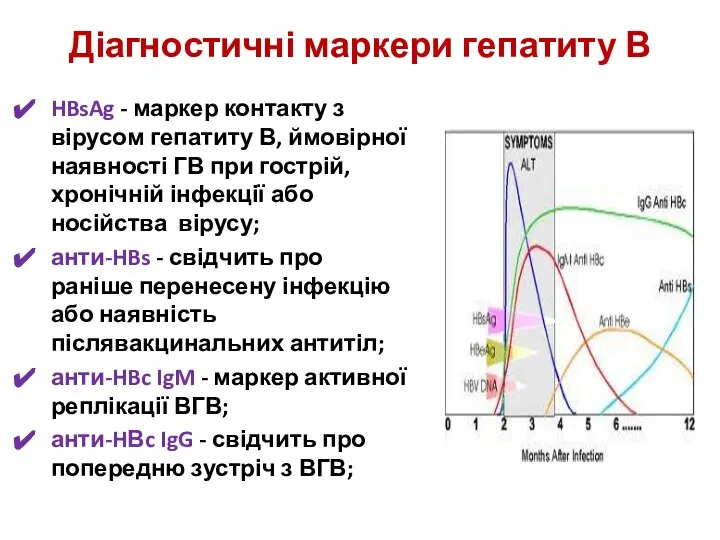 Діагностичні маркери гепатиту В HBsAg - маркер контакту з вірусом гепатиту