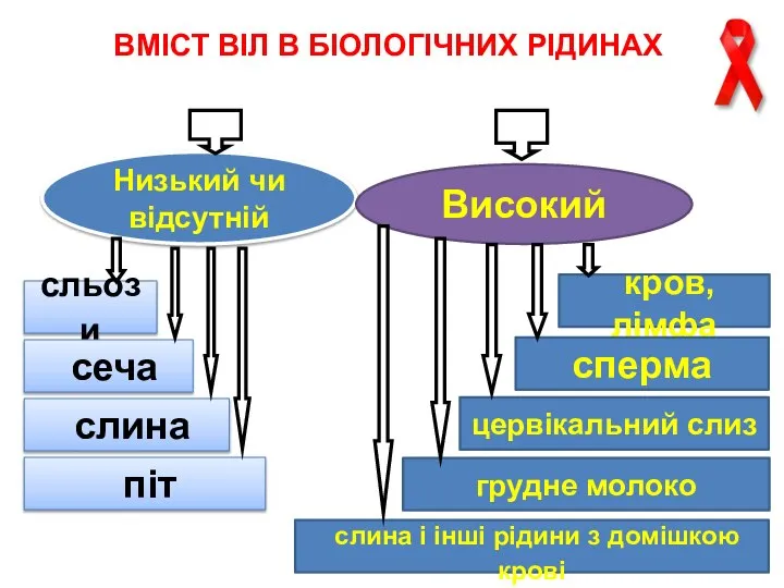 ВМІСТ ВІЛ В БІОЛОГІЧНИХ РІДИНАХ Низький чи відсутній Високий сльози сеча