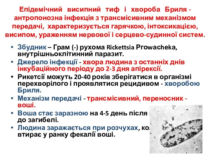 Епідемічний висипний тиф і хвороба Бриля - антропонозна інфекція з трансмісивним