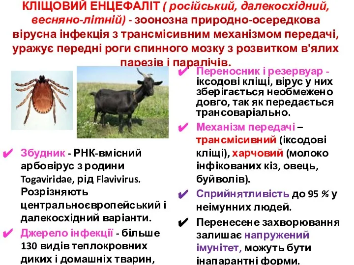КЛІЩОВИЙ ЕНЦЕФАЛІТ ( російський, далекосхідний, весняно-літній) - зоонозна природно-осередкова вірусна інфекція