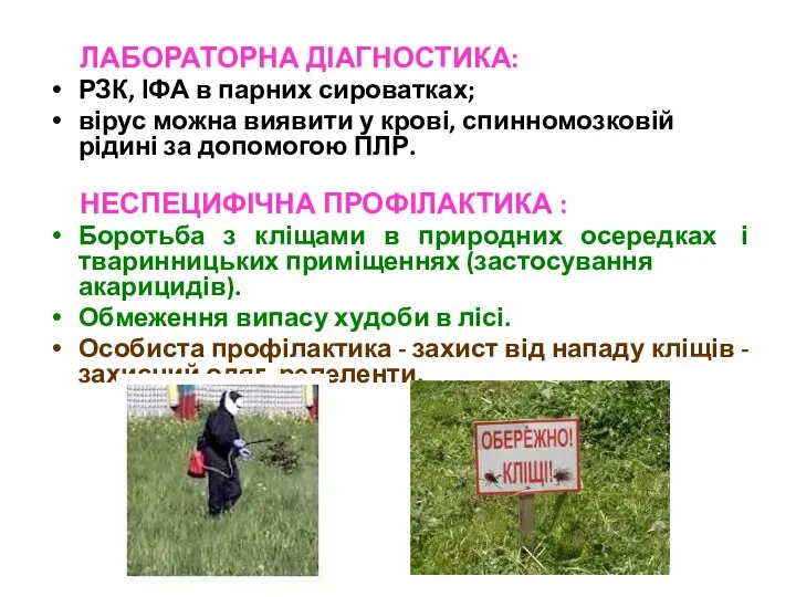 ЛАБОРАТОРНА ДІАГНОСТИКА: РЗК, ІФА в парних сироватках; вірус можна виявити у