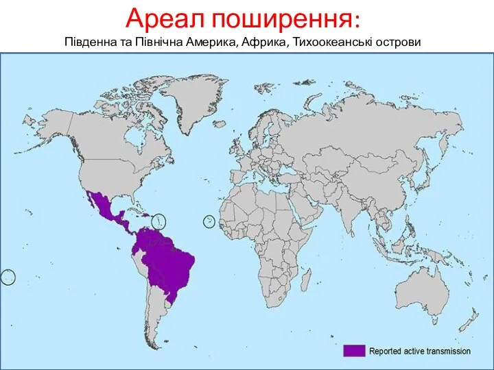 Ареал поширення: Південна та Північна Америка, Африка, Тихоокеанські острови