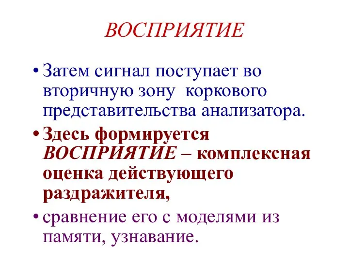 ВОСПРИЯТИЕ Затем сигнал поступает во вторичную зону коркового представительства анализатора. Здесь