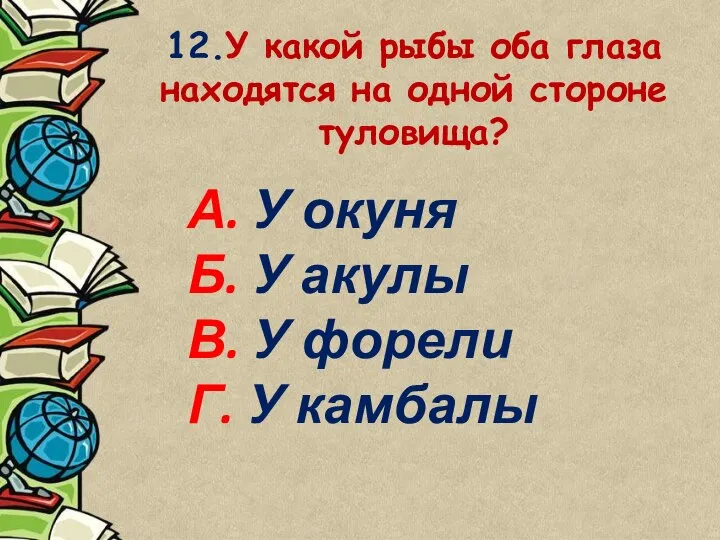 12.У какой рыбы оба глаза находятся на одной стороне туловища? А.