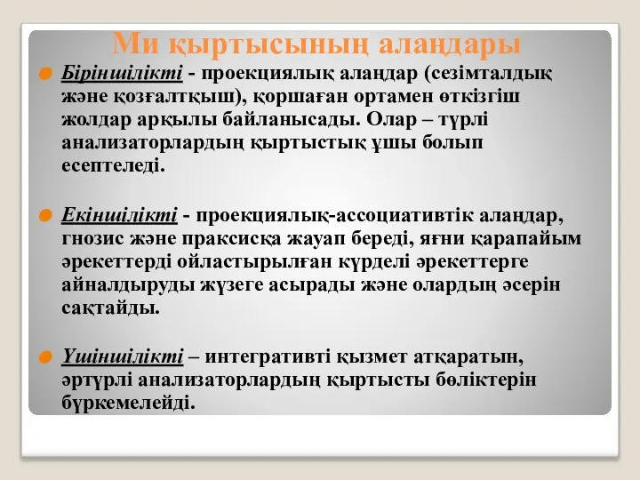 Ми қыртысының алаңдары Біріншілікті - проекциялық алаңдар (сезімталдық және қозғалтқыш), қоршаған