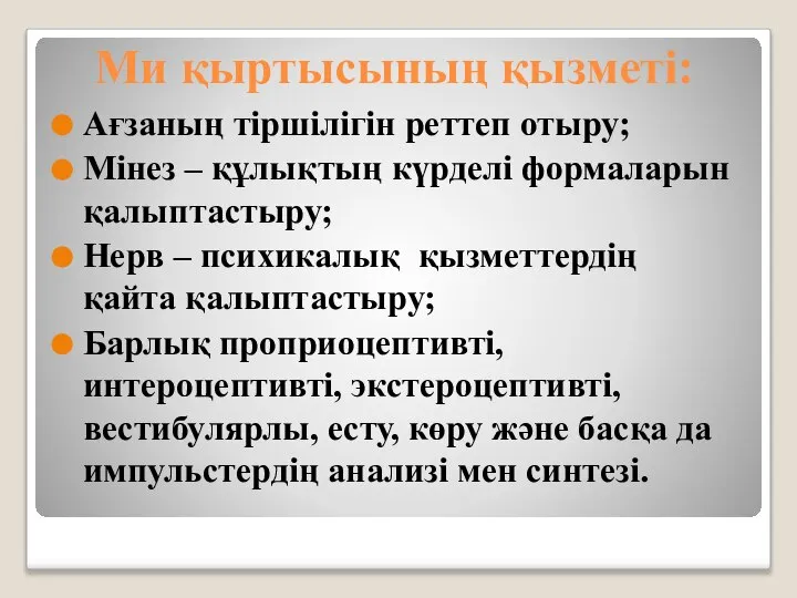 Ми қыртысының қызметі: Ағзаның тіршілігін реттеп отыру; Мінез – құлықтың күрделі